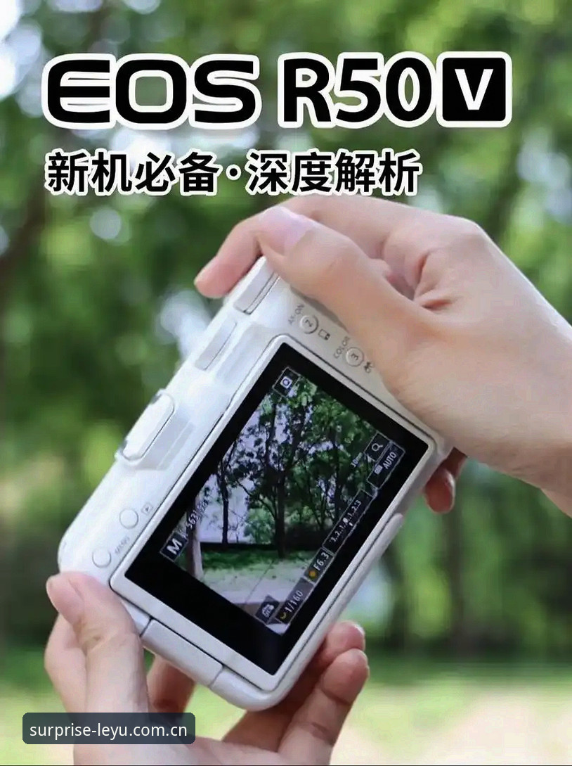 乐鱼体育平台注册通道安全吗？v2.0.8版本实测深度分析